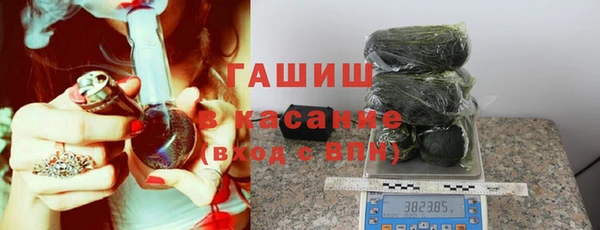 прущие грибы Алзамай