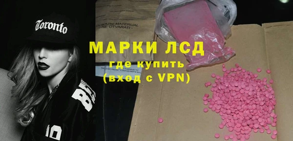 прущие грибы Алзамай