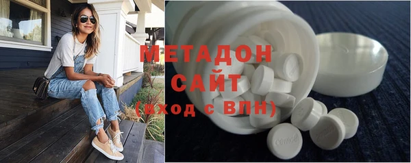 прущие грибы Алзамай