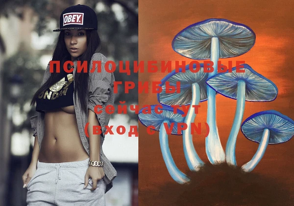 прущие грибы Алзамай