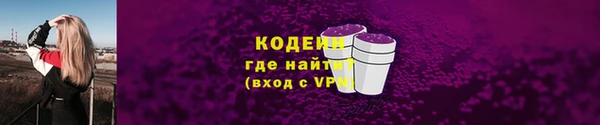 прущие грибы Алзамай