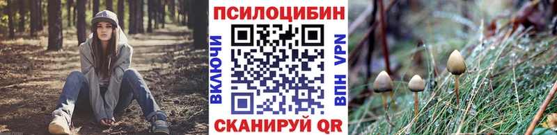 Псилоцибиновые грибы мухоморы Черемхово